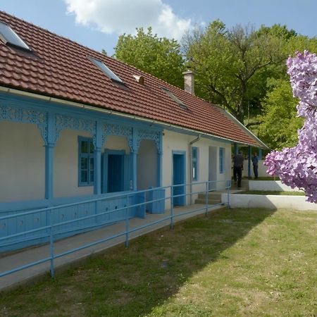 Hotel Kekfesto Vendeghaz Bukkszentkereszt Exteriér fotografie