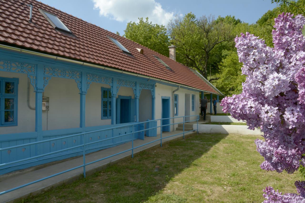 Hotel Kekfesto Vendeghaz Bukkszentkereszt Exteriér fotografie